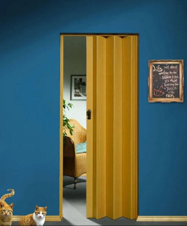 Marley President vouwdeur in beuken - 86x205 cm